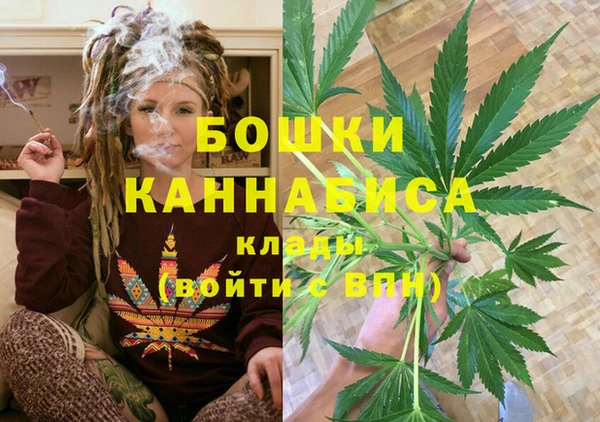 spice Арсеньев