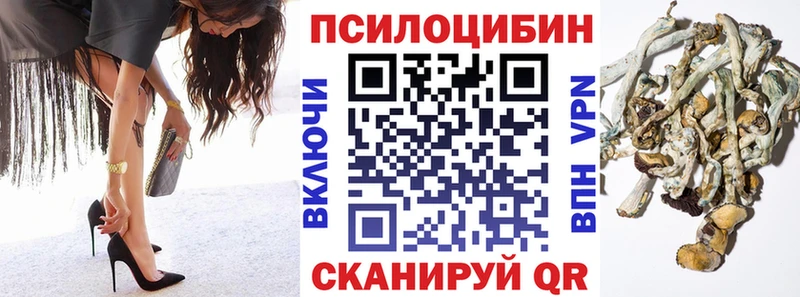 закладка  Ачинск  Галлюциногенные грибы Psilocybine cubensis 
